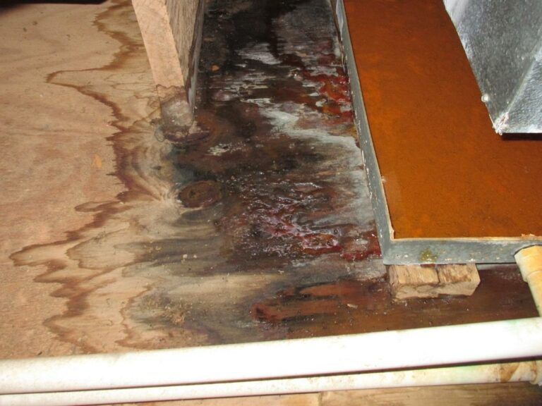 Water damage Restoration in Cass County, Missouri. Water mold seeps into the floorboards of a residential Kansas City home.