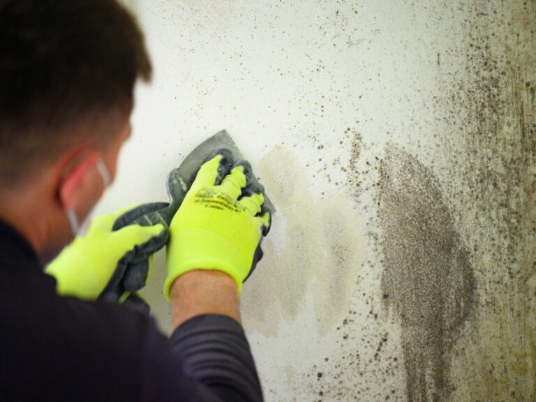 Mold remediation in Kansas City is underway as an Enviro-Dry technician cleans a stucco wall.
