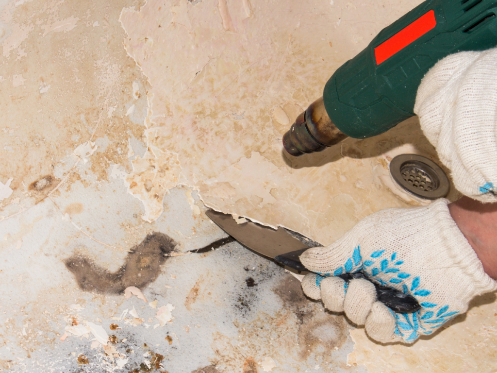 Water damage restoration efforts include removing mold and mildew from bathroom surfaces. A heat gun and scraper are used to remove damaged paint from a bathroom floor.