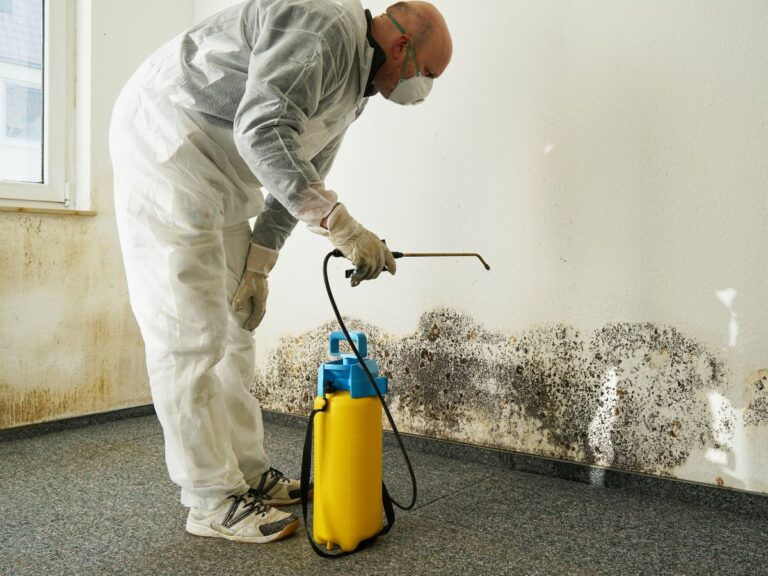 A man is removing mold from the wall. Part of mold remediation in Creighton, Missouri.