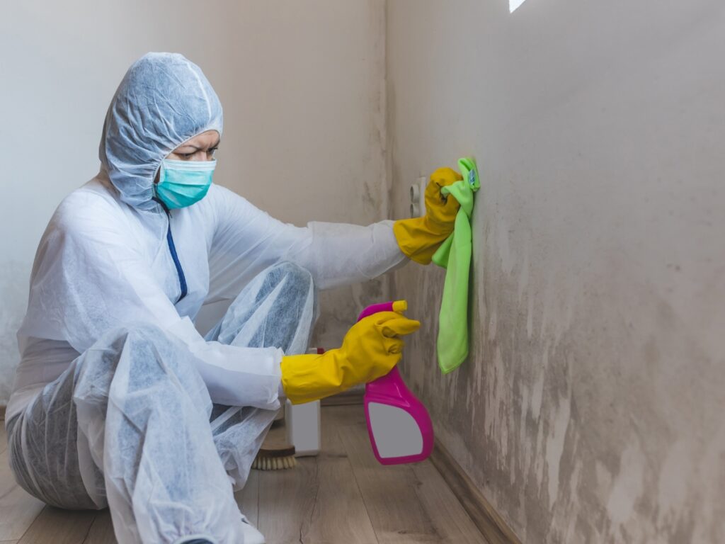 Mold removal in Drexel, Missouri is performed by a skilled mold removal specialist.