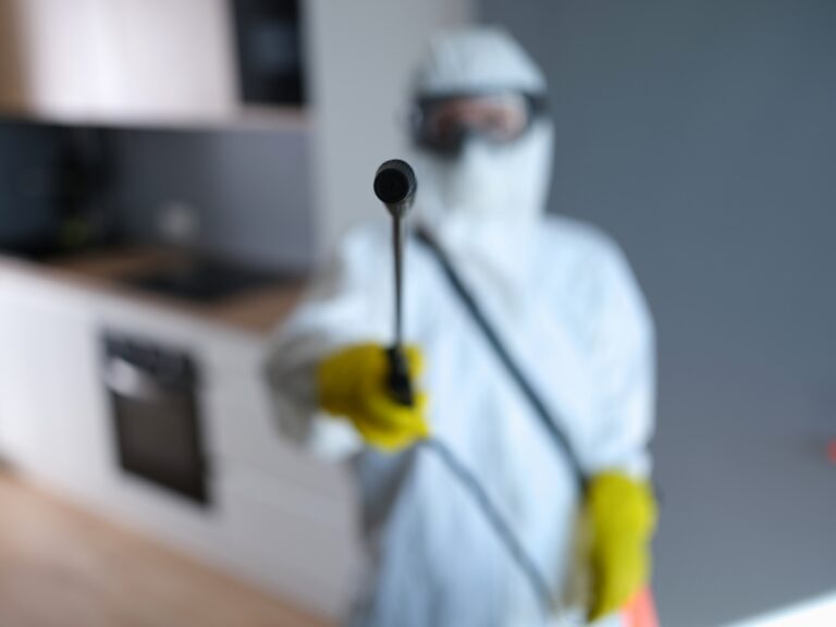 Professional mold remediation in East Lynne, MO. A remediation technician spray a solvent on a home's walls.