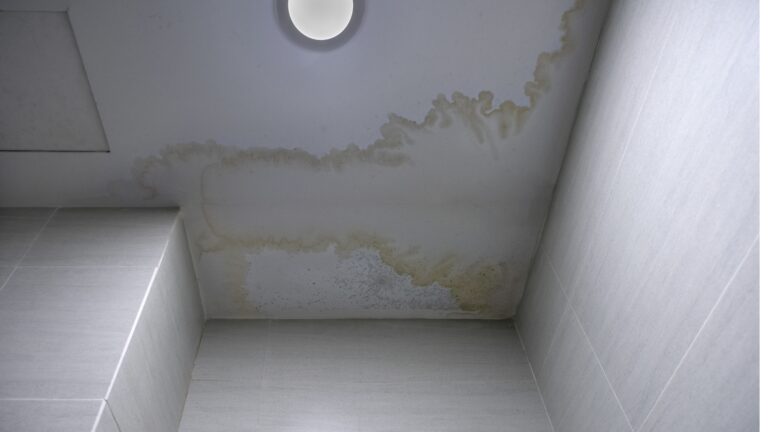 Wondering how to avoid water damage? Let water damage restoration experts tell you! Photo of mildew on the ceiling.